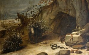 Porcupines and vipers by Frans Snyders Oil Painting
