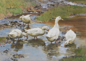 Enten am Wasser by Franz Grasse Oil Painting