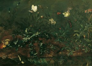 Rasenstuck mit Distel, Froschen und Libelle by Franz Michael Siegmund Von Purgau The Elder Oil Painting