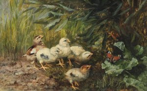 Chicks and a Butterfly by Franz Xaver Birkinger Oil Painting