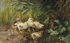 Chicks and a Butterfly by Franz Xaver Birkinger Oil Painting