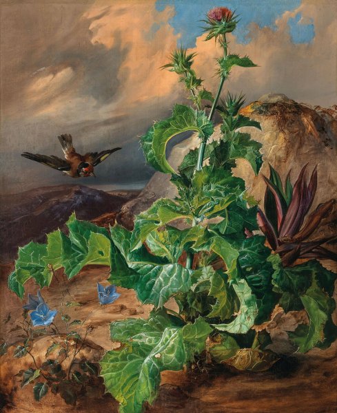 Main Product Photo of Large Thistle Still Life with Goldfinch Painting by Franz Xaver Gruber