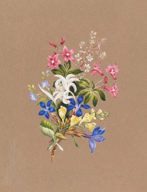 Alpenblumenstraus by Franz Xaver Nachtmann Oil Painting