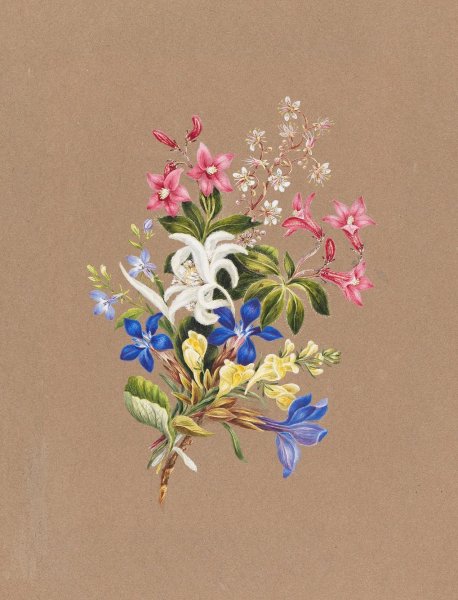 Alpenblumenstraus  by Franz Xaver Nachtmann - Hand-Painted Oil Painting Reproduction