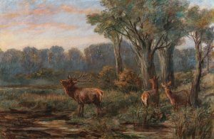 A Red Deer in a Glade by Franz Xaver Von Pausinger Oil Painting