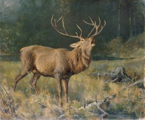 Brunfthirsch by Franz Xaver Von Pausinger Oil Painting