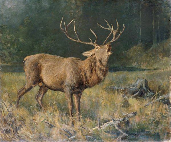 Main Product Photo of Brunfthirsch Painting by Franz Xaver Von Pausinger