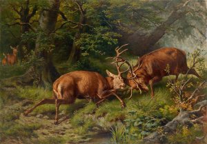 Kampfende Hirsche by Franz Xaver Von Pausinger Oil Painting