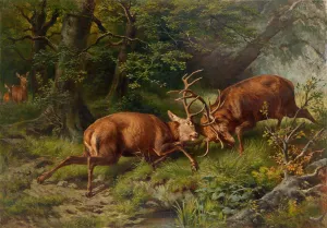 Kampfende Hirsche by Franz Xaver Von Pausinger Oil Painting