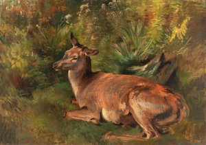 Resting Hind by Franz Xaver Von Pausinger Oil Painting