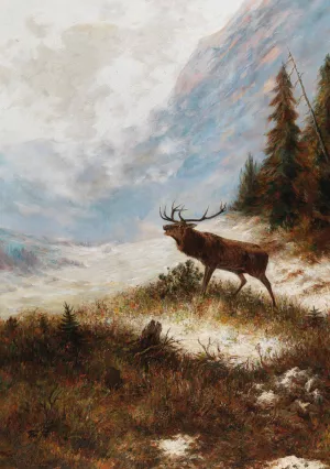 Rohrender Hirsch in Winterlandschaft by Franz Xaver Von Pausinger Oil Painting
