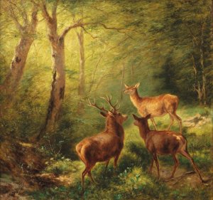 Rotwild in sonniger Waldlichtung by Franz Xaver Von Pausinger Oil Painting