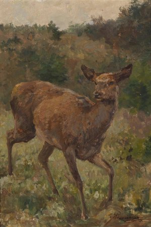 Rotwild by Franz Xaver Von Pausinger Oil Painting