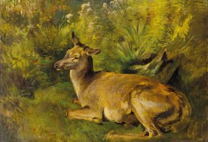 Ruhende Hirschkuh by Franz Xaver Von Pausinger Oil Painting