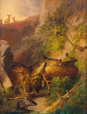Zwei in der Brunftzeit abgesturzte Hirsche im Hochgebirge by Franz Xaver Von Pausinger Oil Painting