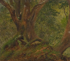 In the Woods, Jamaica by Frederic Edwin Church Oil Painting