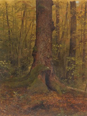 In the Woods, Probably Maine by Frederic Edwin Church Oil Painting
