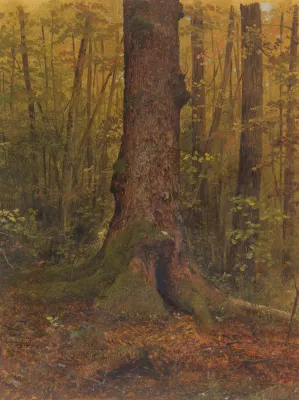 In the Woods, Probably Maine by Frederic Edwin Church Oil Painting