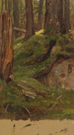 Maine Woods by Frederic Edwin Church Oil Painting