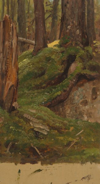 Maine Woods  by Frederic Edwin Church - Hand-Painted Oil Painting Reproduction