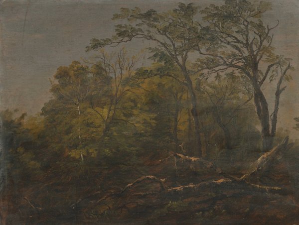 Maine Woods  by Frederic Edwin Church - Hand-Painted Oil Painting Reproduction