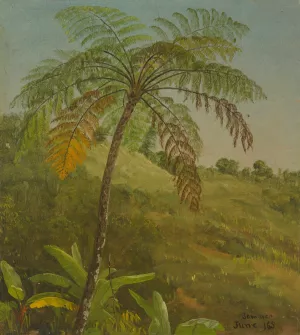 Palm Tree, Jamaica by Frederic Edwin Church Oil Painting