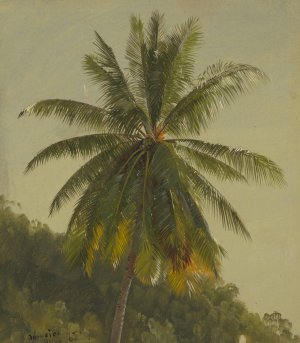 Palm Trees, West Indies by Frederic Edwin Church Oil Painting