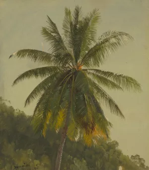 Palm Trees, West Indies by Frederic Edwin Church Oil Painting
