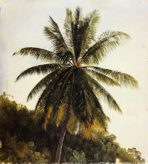 Palm Trees, West Indies