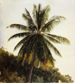 Palm Trees, West Indies by Frederic Edwin Church - Oil Painting Reproduction