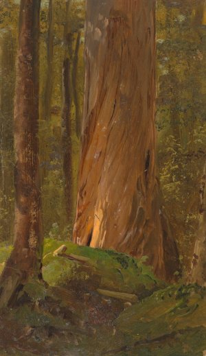 Study in the Maine Woods by Frederic Edwin Church Oil Painting