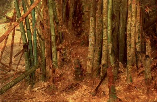 Study of Bamboo by Frederic Edwin Church - Hand-Painted Oil Painting Reproduction
