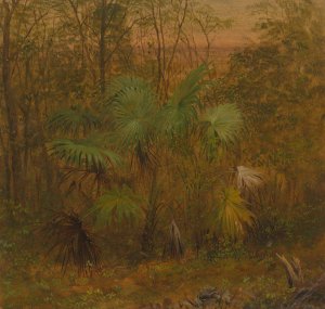 Thatch Palm, Jamaica by Frederic Edwin Church Oil Painting