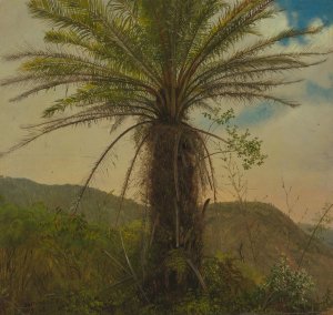 Tree Fern, Jamaica by Frederic Edwin Church Oil Painting