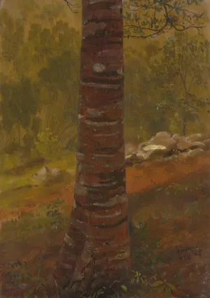 Tree trunk by Frederic Edwin Church Oil Painting