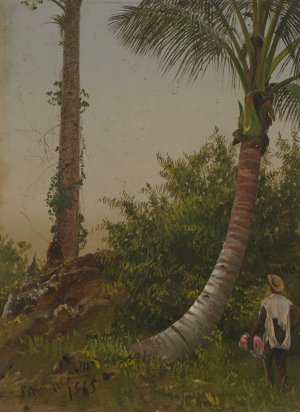 Trees in Jamaica, West Indies by Frederic Edwin Church Oil Painting