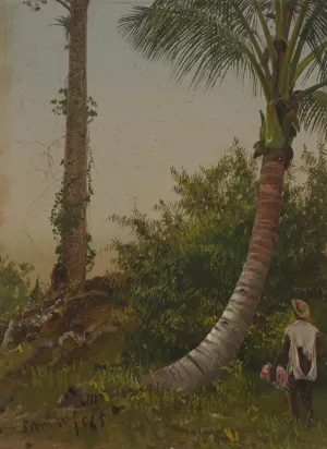 Trees in Jamaica, West Indies by Frederic Edwin Church Oil Painting