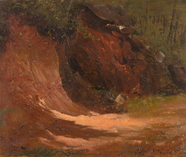 Woodland bank, Jamaica  by Frederic Edwin Church - Hand-Painted Oil Painting Reproduction