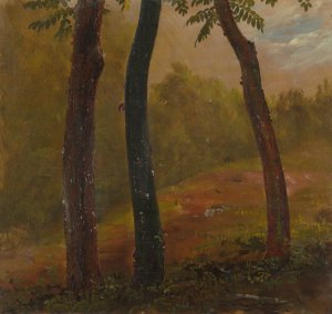 Woodland Scene, Jamaica by Frederic Edwin Church Oil Painting