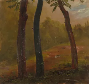 Woodland Scene, Jamaica by Frederic Edwin Church Oil Painting