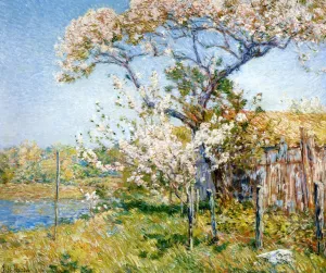 Apple Trees in Bloom, Old Lyme by Frederick Childe Hassam Oil Painting