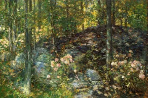 Laurel on the Ledges by Frederick Childe Hassam Oil Painting