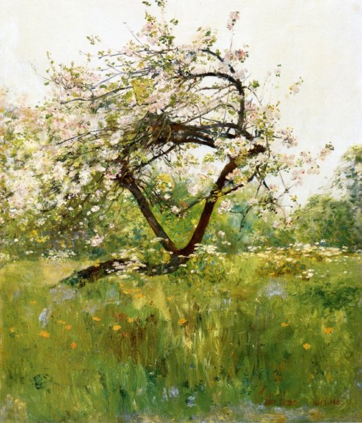 Peach Blossoms - Villiers-le-Bel by Frederick Childe Hassam - Hand-Painted Oil Painting Reproduction
