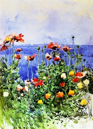 Poppies, Isles of Shoals by Frederick Childe Hassam Oil Painting
