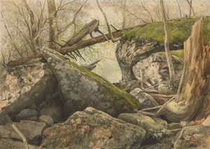 Tanglewood - Catskill Mountains by Frederick Frank Durand Oil Painting