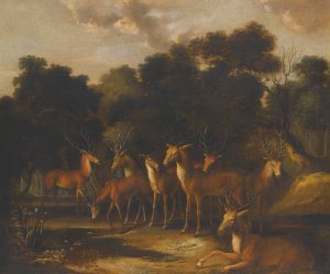 Deer Standing In A Clearing At A Waterhole by French School Oil Painting