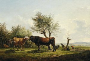 A Cow Licking a Bull in the Pasture Oil painting by Friedrich August Matthias Gauermann