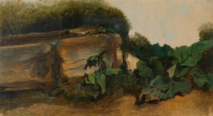 Blattpflanzen bei einem Brunnentrog by Friedrich August Matthias Gauermann Oil Painting