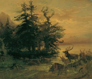 Suhlende Hirsche am Ufer eines Bergsees by Friedrich August Matthias Gauermann Oil Painting