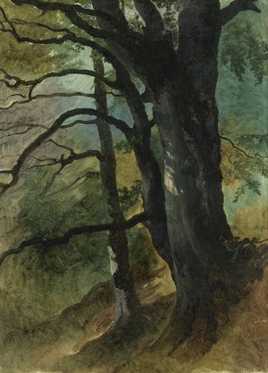 Waldausschnitt by Friedrich August Matthias Gauermann Oil Painting